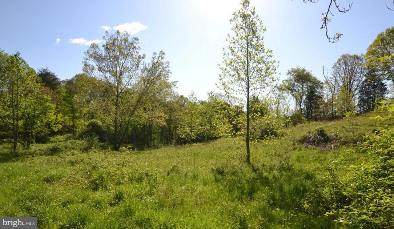 0 Jeffersonton Road - Photo 1