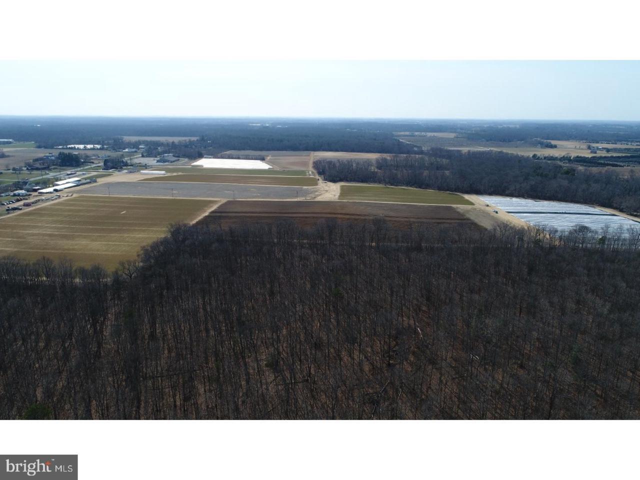 0 Landis Avenue - Photo 1