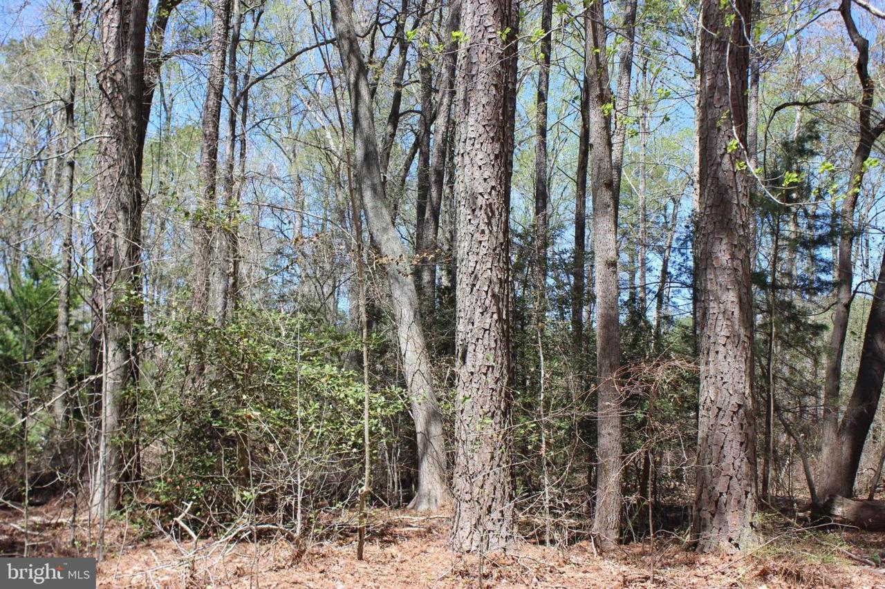 2206 Saber Court - Photo 1