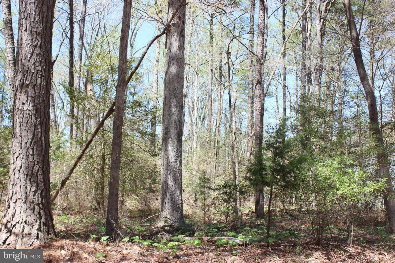 2207 Saber Court - Photo 1