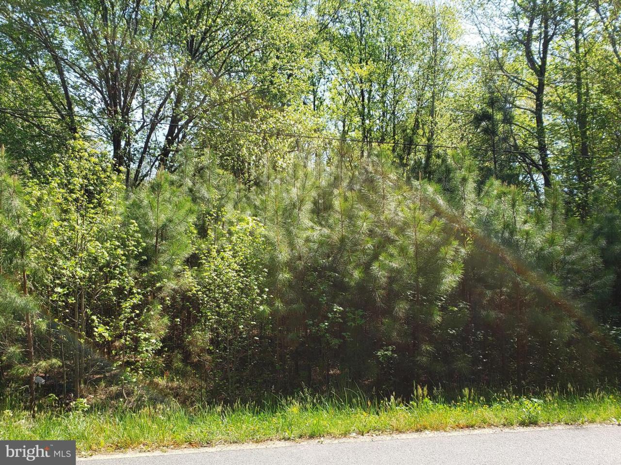 7640 Leedstown Rd - Photo 1