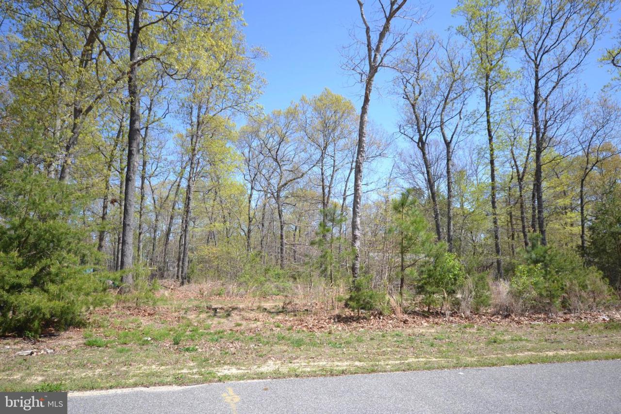 5417 Briarwood Drive - Photo 1