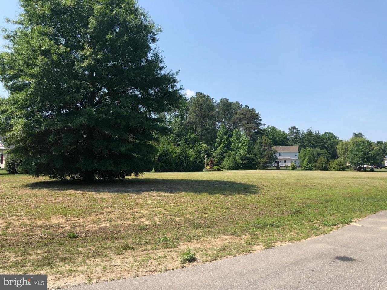 129 Village Drive - Photo 1