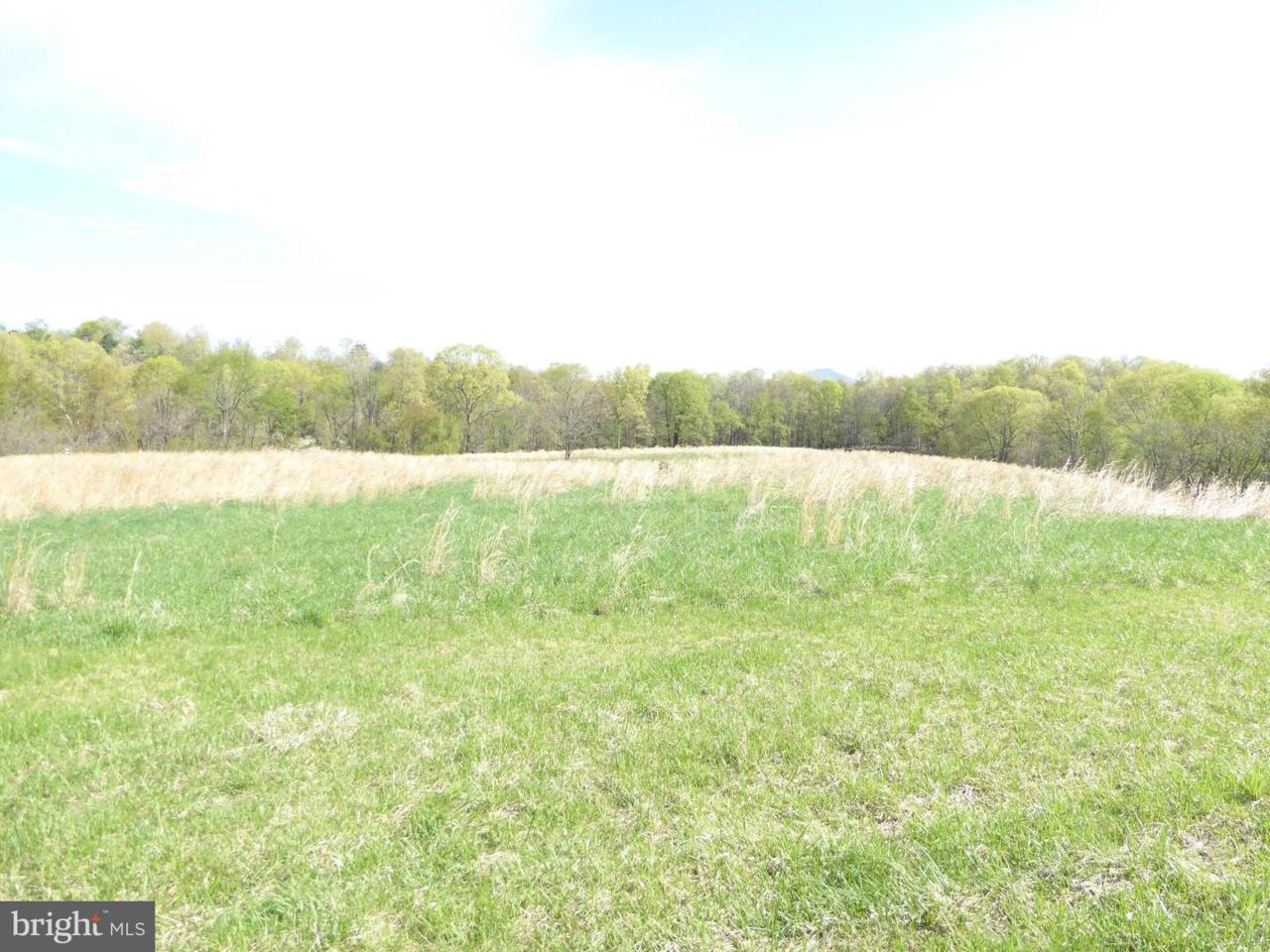 5 Mount Levels Farms Road - Photo 1