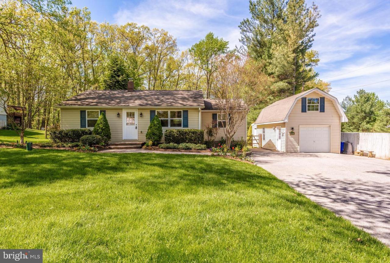 10036 Pine Tree Road - Photo 1