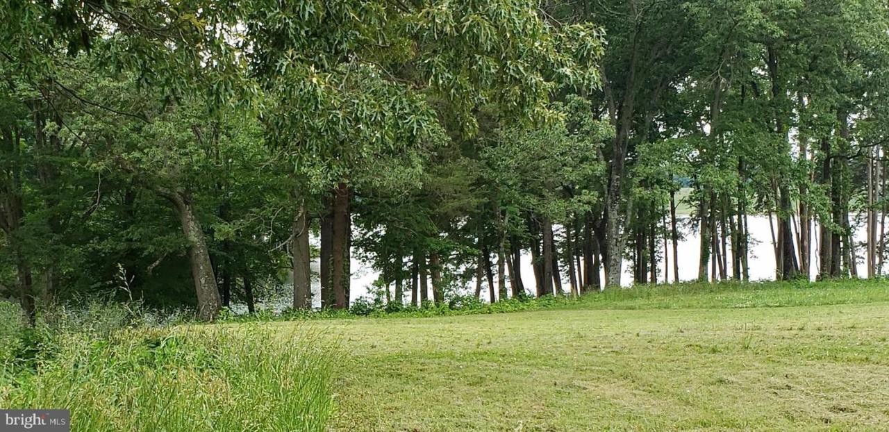 Elk Creek Landing - Photo 1