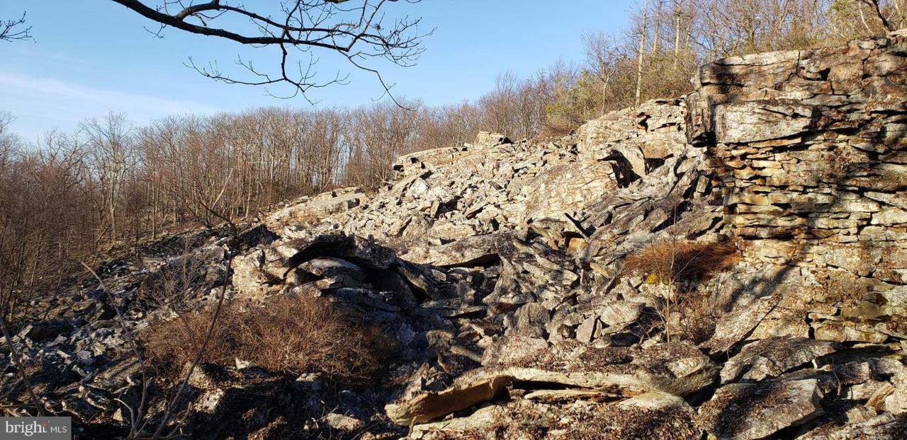 265 South Branch Mountain Road - Photo 1