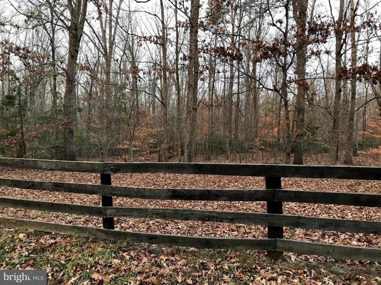 2 (ACRES ON) ROCKFISH CROSSING - Photo 1