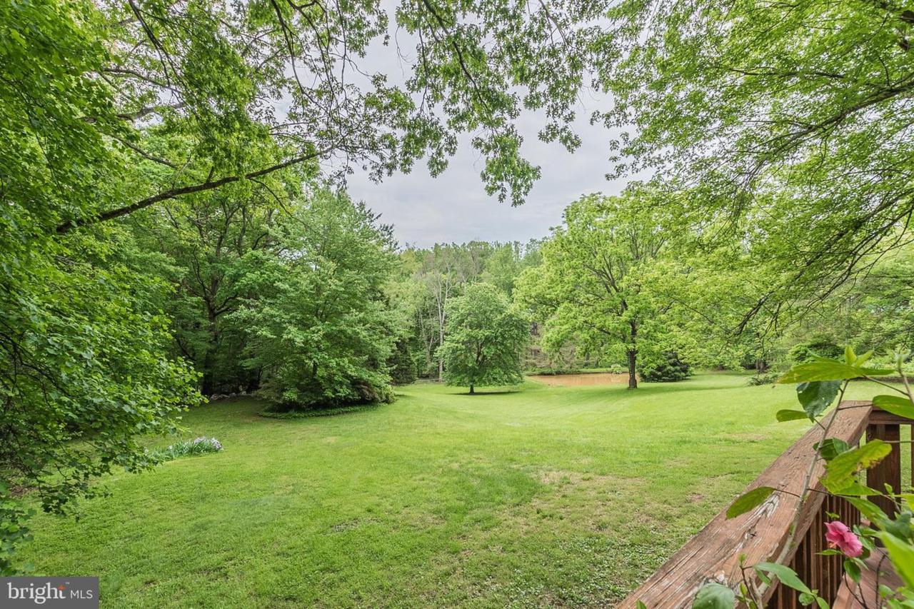 7006 Clifton Forest Drive - Photo 1 7006 Clifton Forest Drive - Photo 1