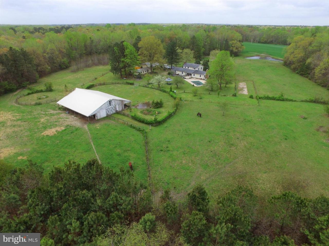 250 Mustang Lane - Photo 1