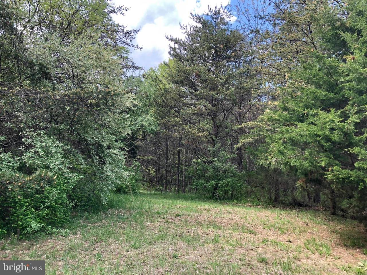Lot 3 Shadow Brook Lane - Photo 1