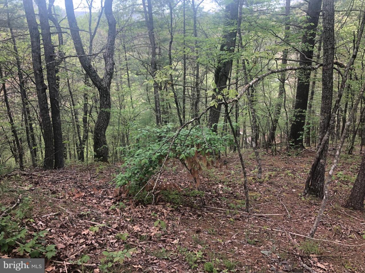 LOT 309 Breckenridge - Photo 1