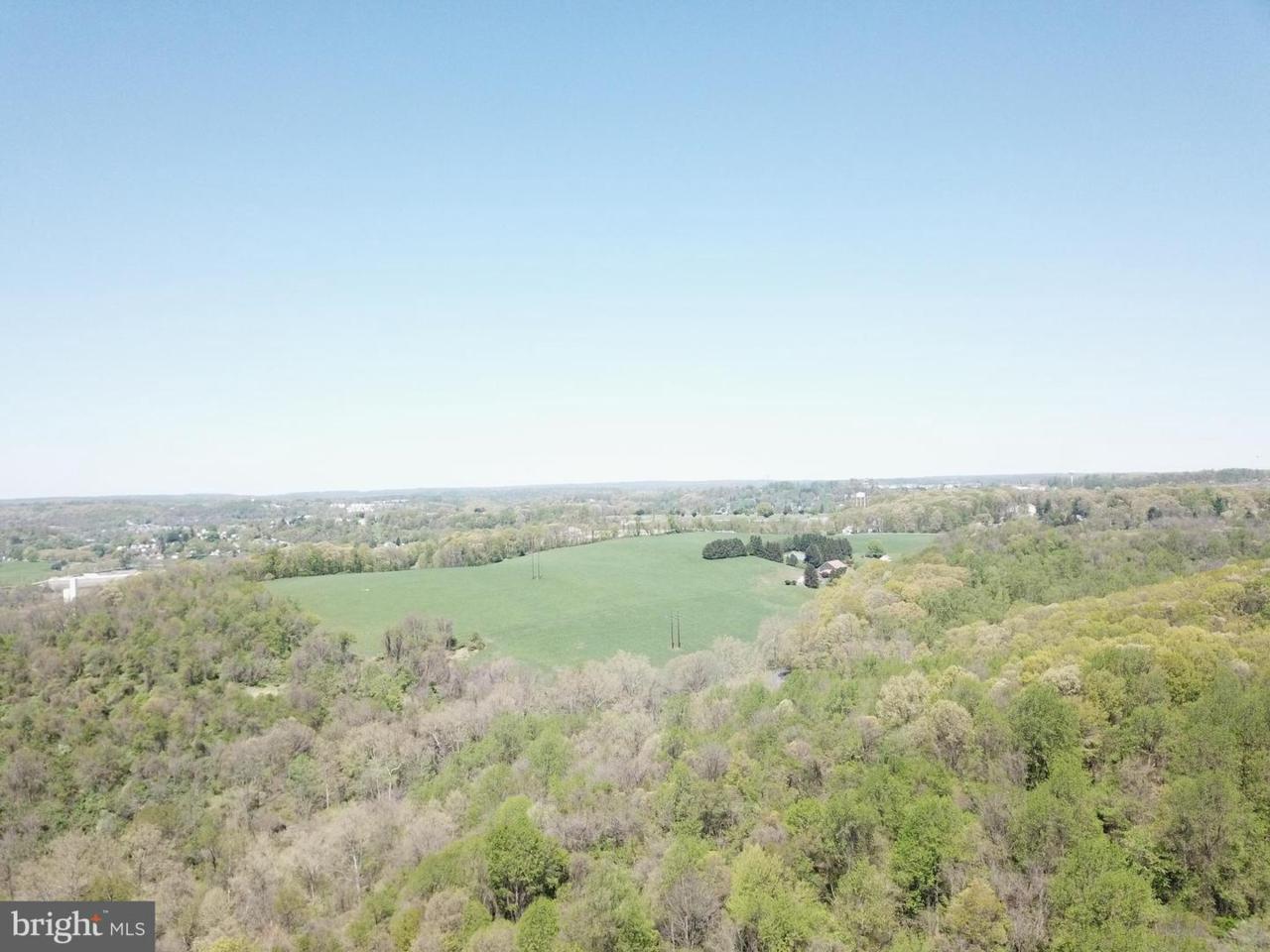 1645 Goosetown Road - Photo 1