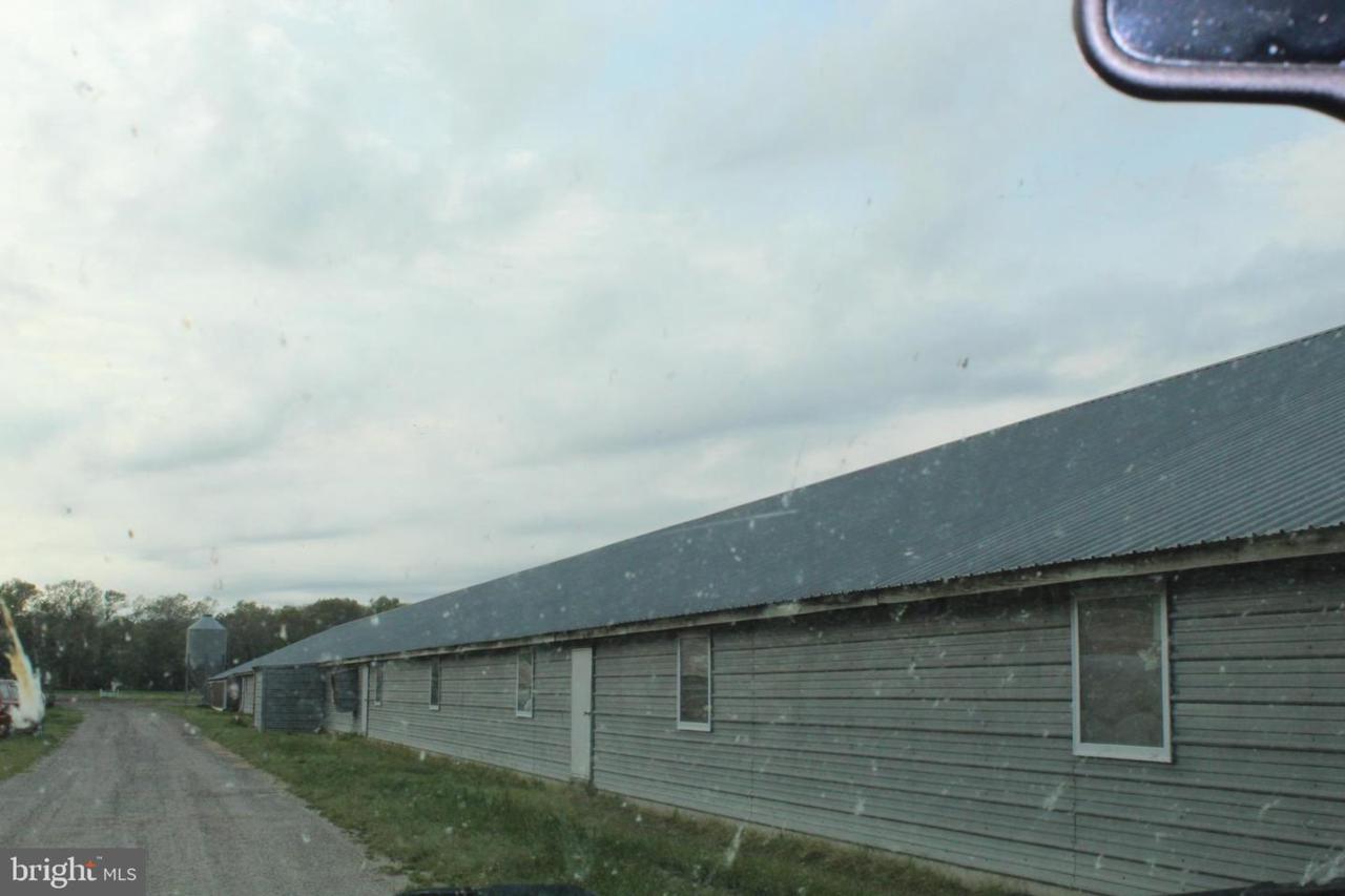 20952 Shell Station Road - Photo 1