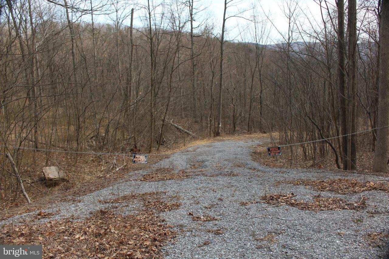 Pine Ridge Road - Photo 1