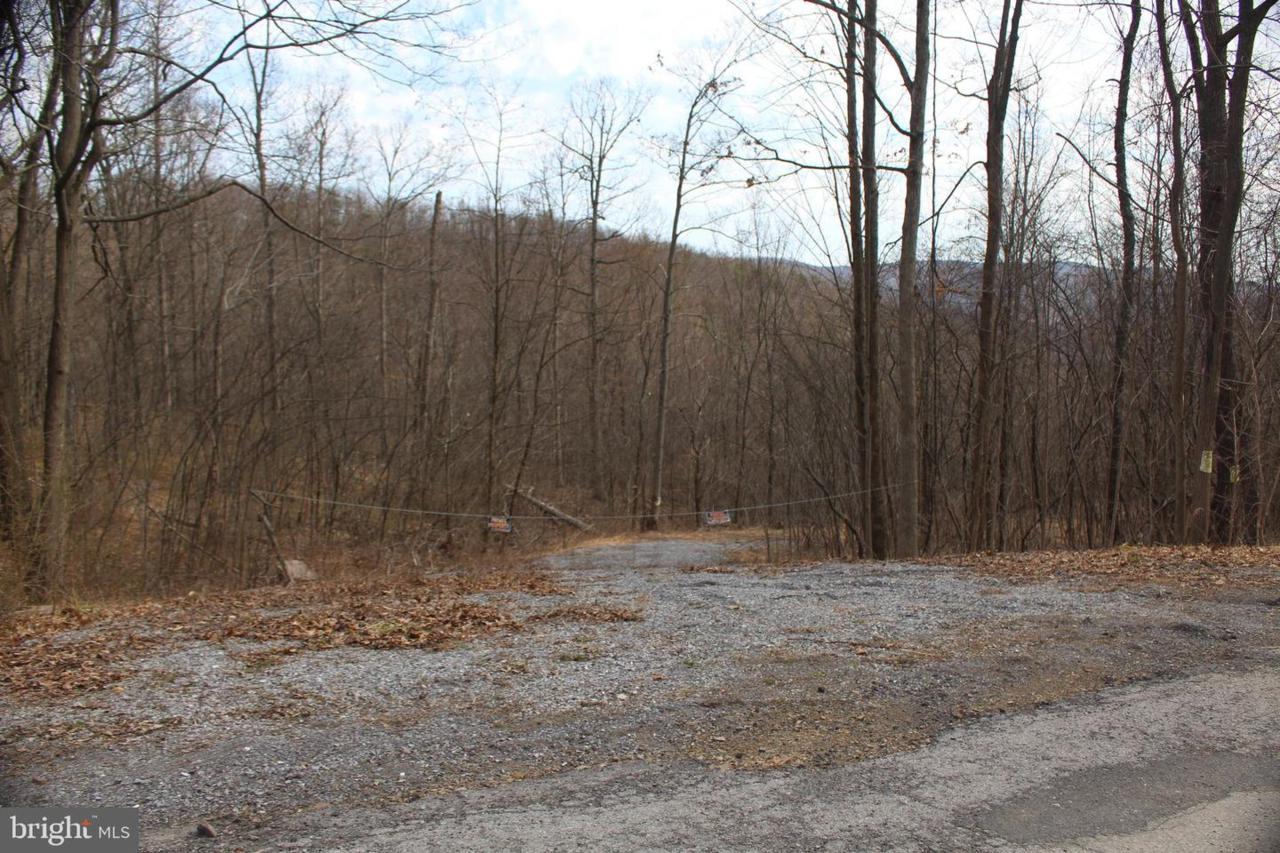 Pine Ridge Road - Photo 1