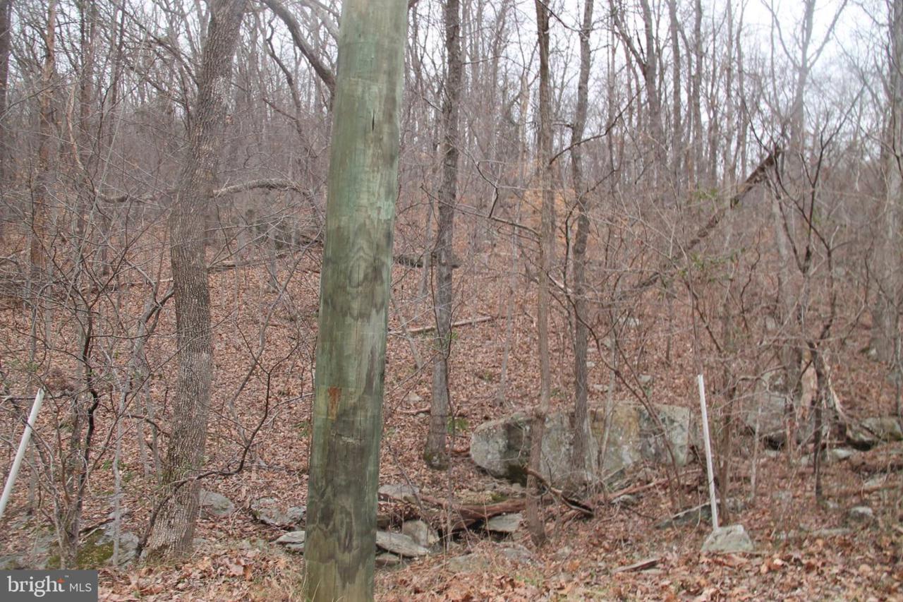 Lot 7 Carters Run Road - Photo 1 Lot 7 Carters Run Road - Photo 1