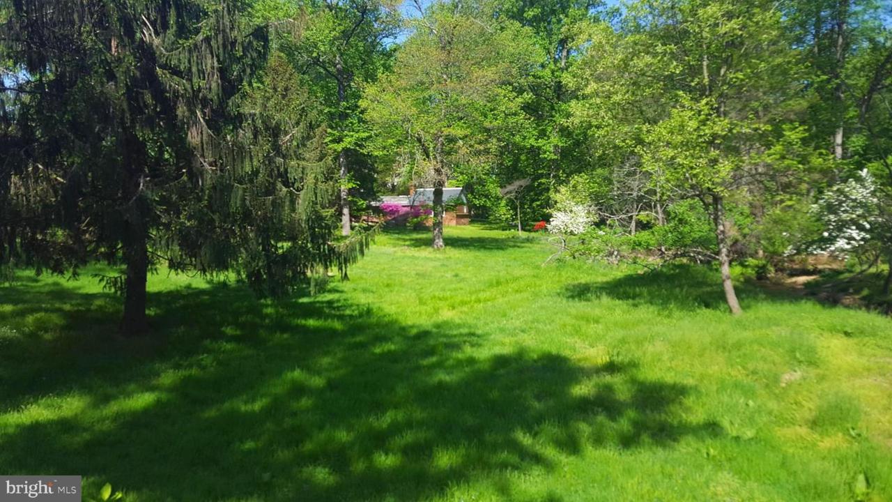 11616 Pine Tree Drive - Photo 1