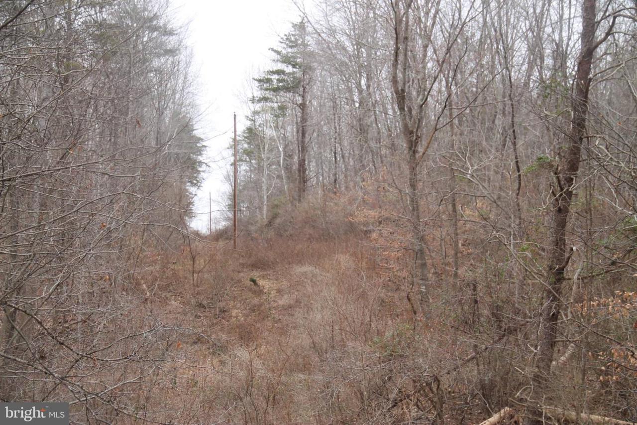 Lots 8-10 Carters Run - Photo 1