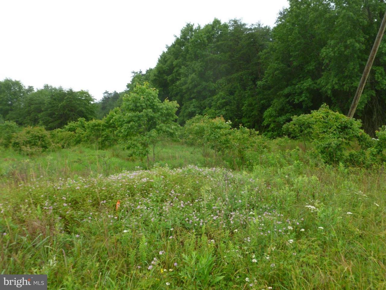 0 Lucky Hill Road - Photo 1