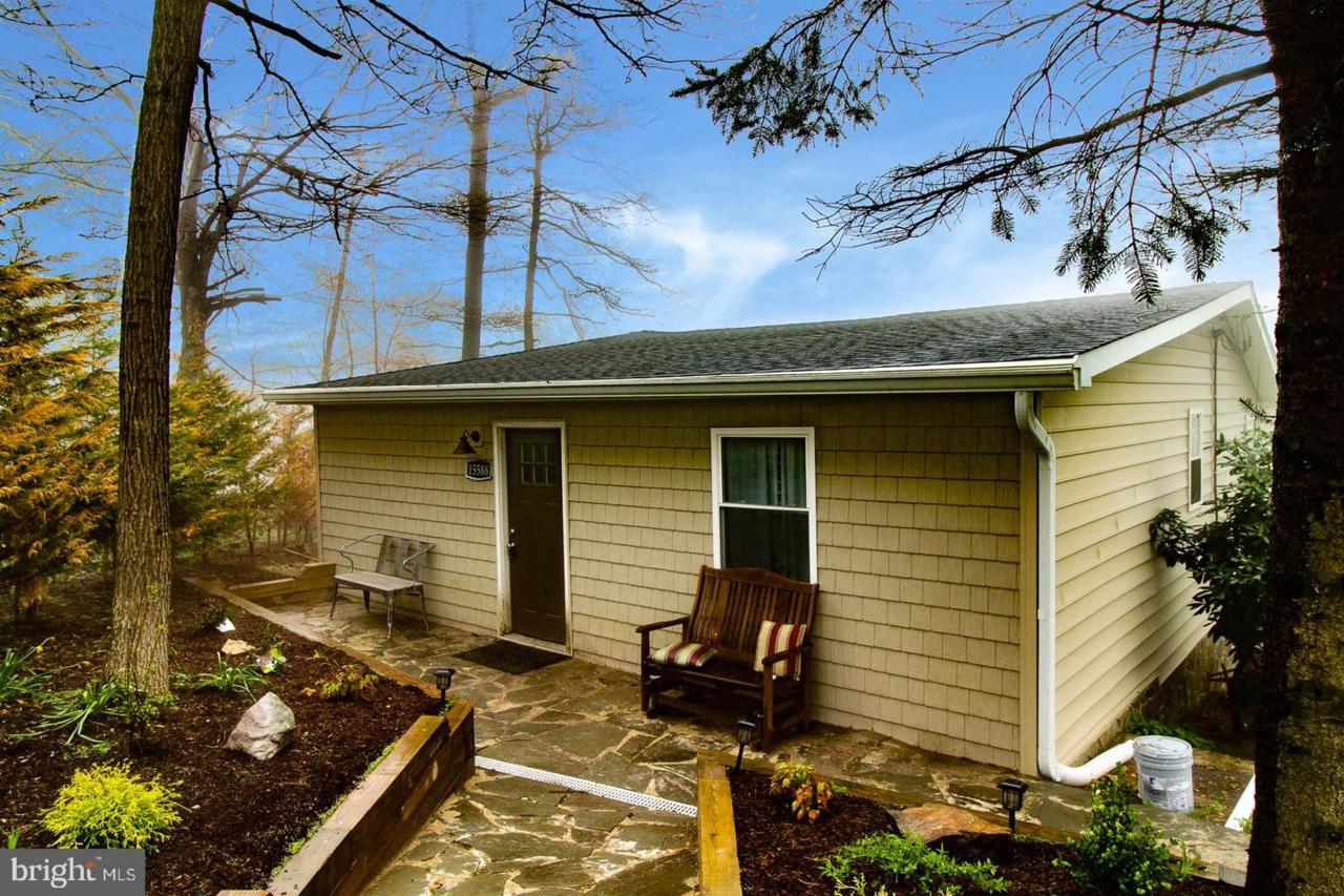 15588 Dogwood - Photo 1