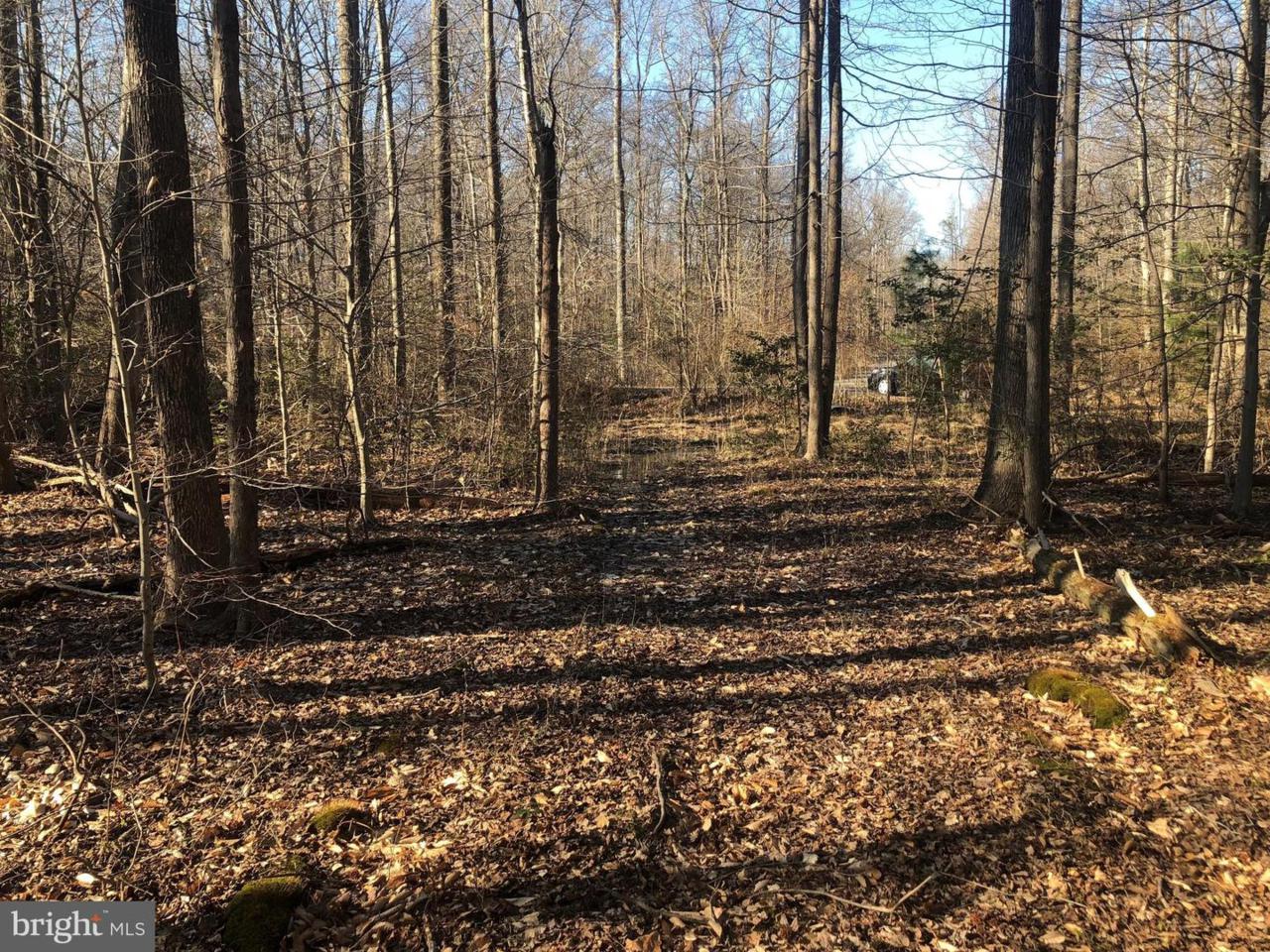 11372 Jasmine Trail - Photo 1
