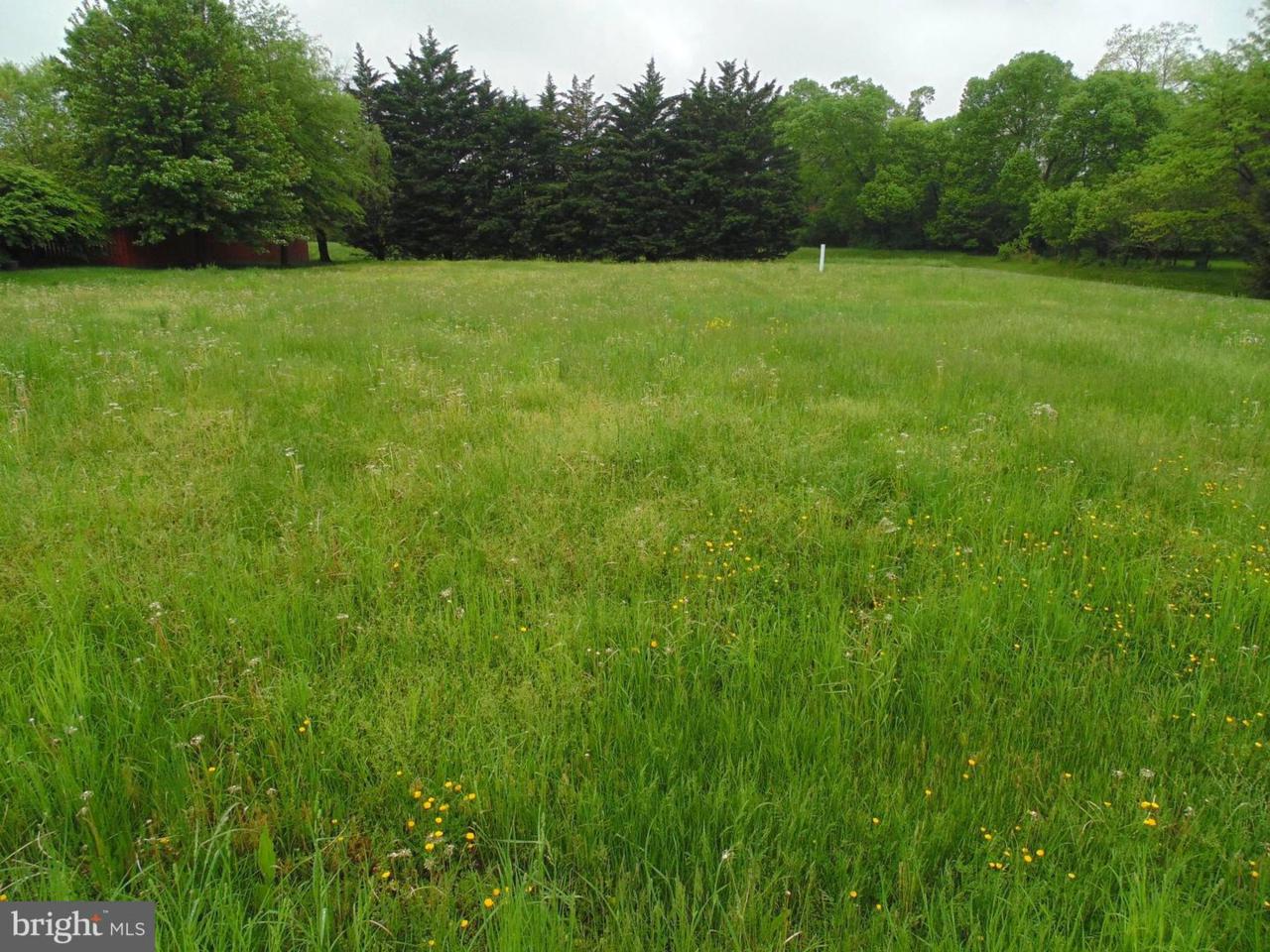 11014 Sani Lane - Photo 1