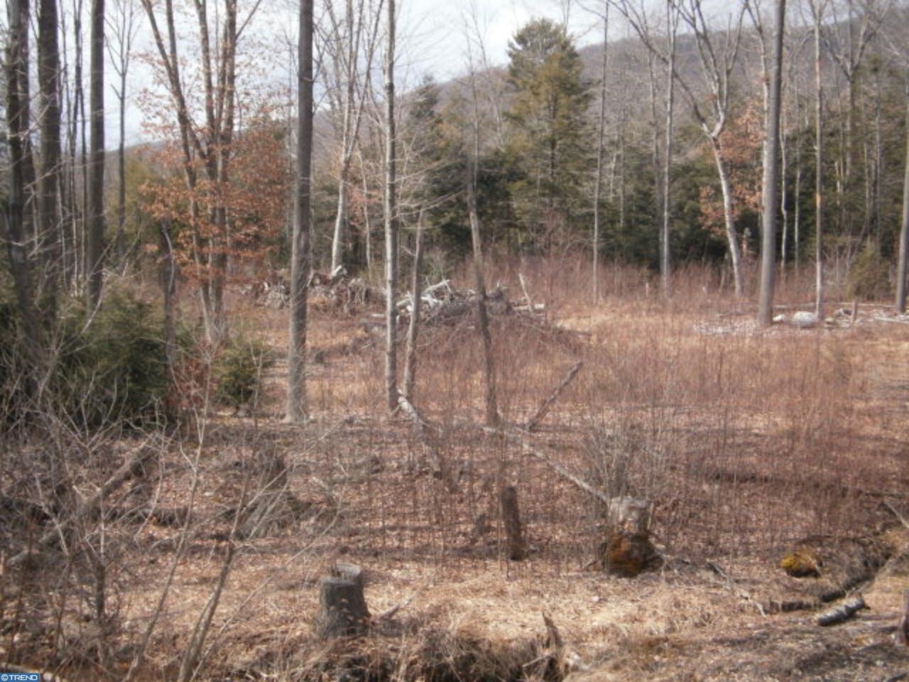 Lot #20 Cedar Creek Drive - Photo 1