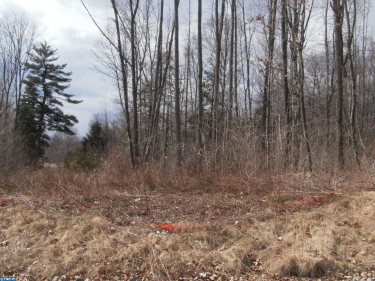 Lot 17 Cedar Creek Drive - Photo 1