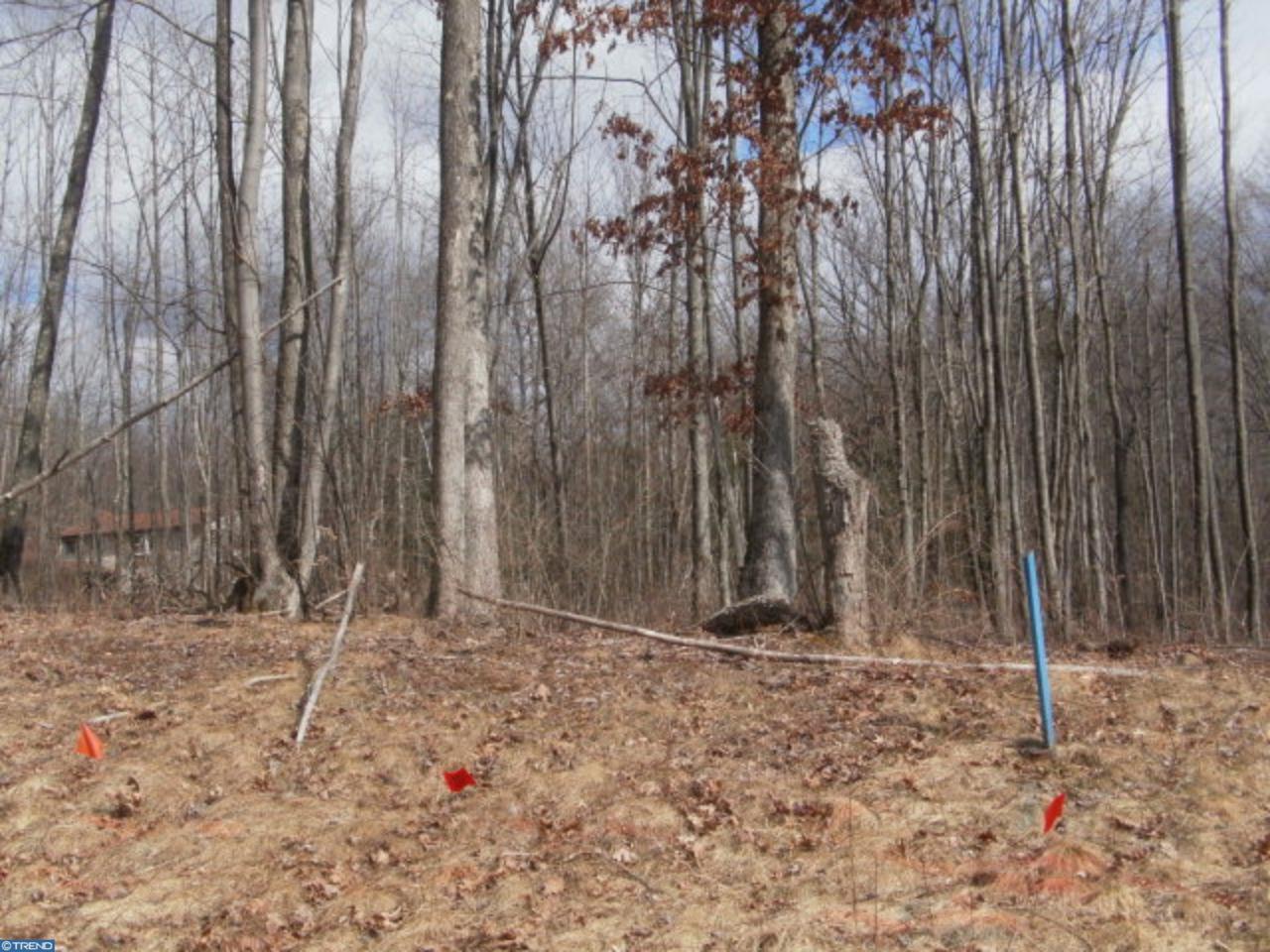 Lot #26 Cedar Creek Drive - Photo 1