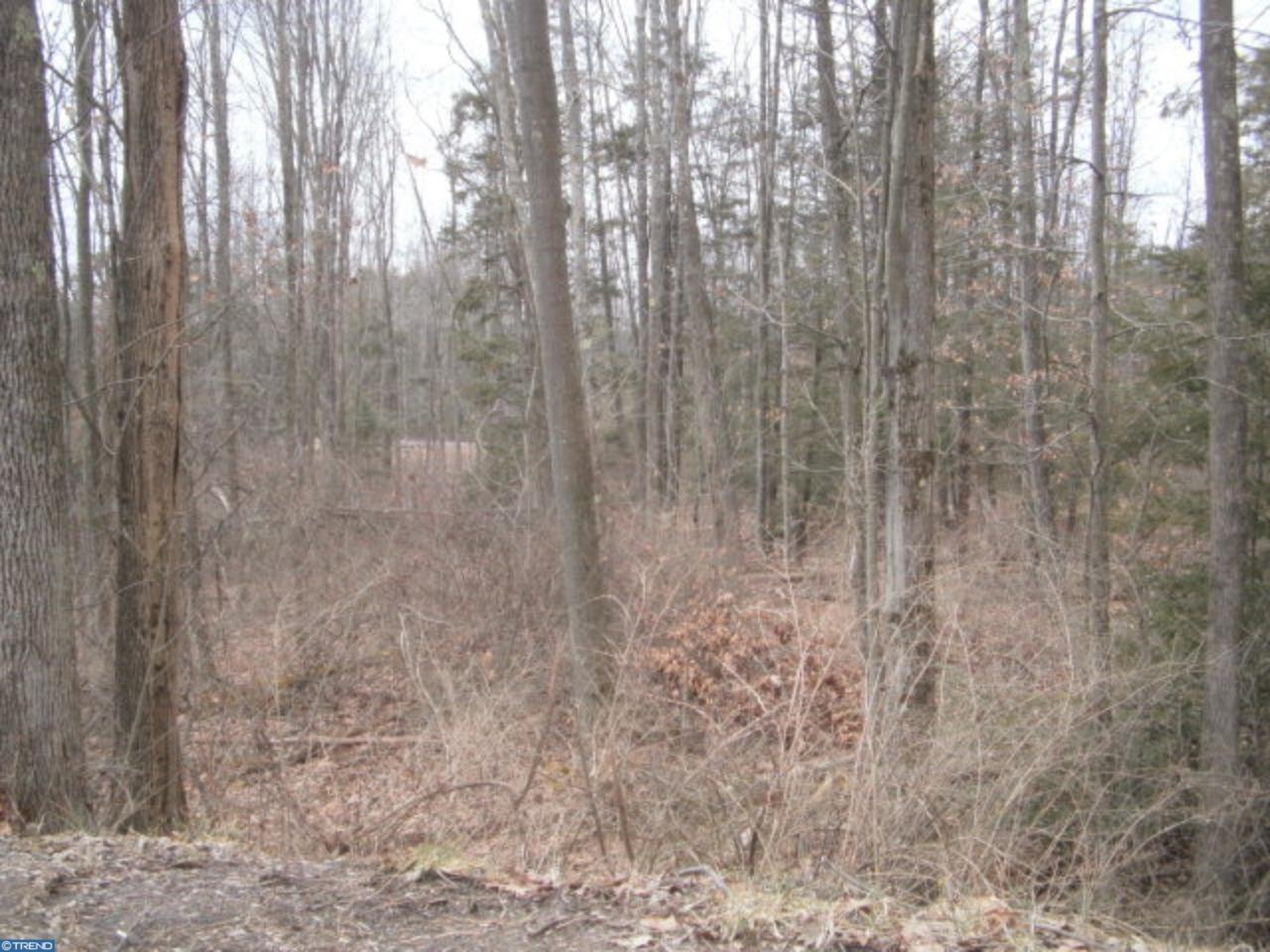 Lot #29 Academy Lane - Photo 1
