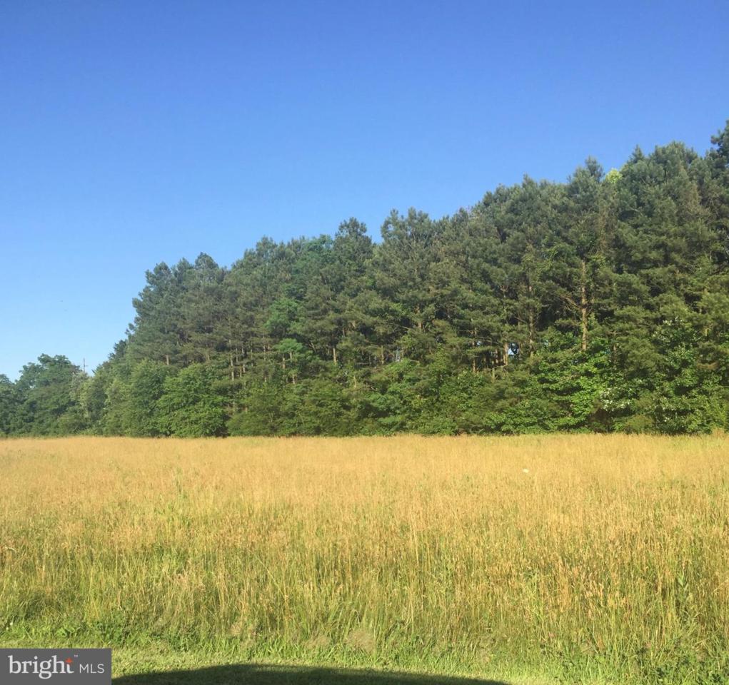 3504 Indian Grant Road - Photo 1