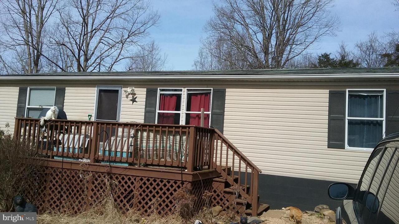 674 Mosbys Camp Road - Photo 1