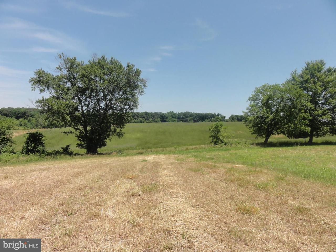 17864 Silcott Springs Road - Photo 1