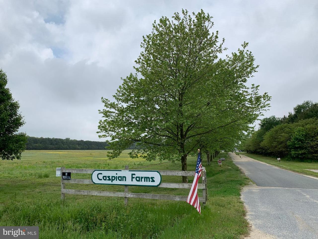 5890 Harmony Road - Photo 1
