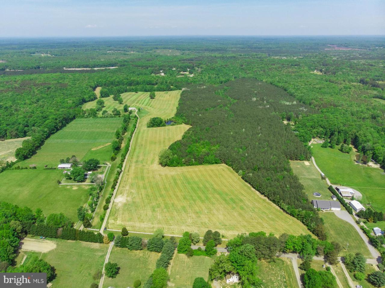 8335 Marye Road - Photo 1