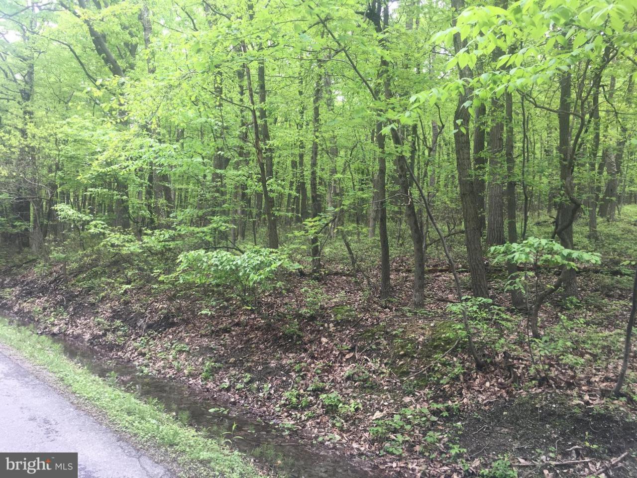 0 Chain Saw Road - Photo 1