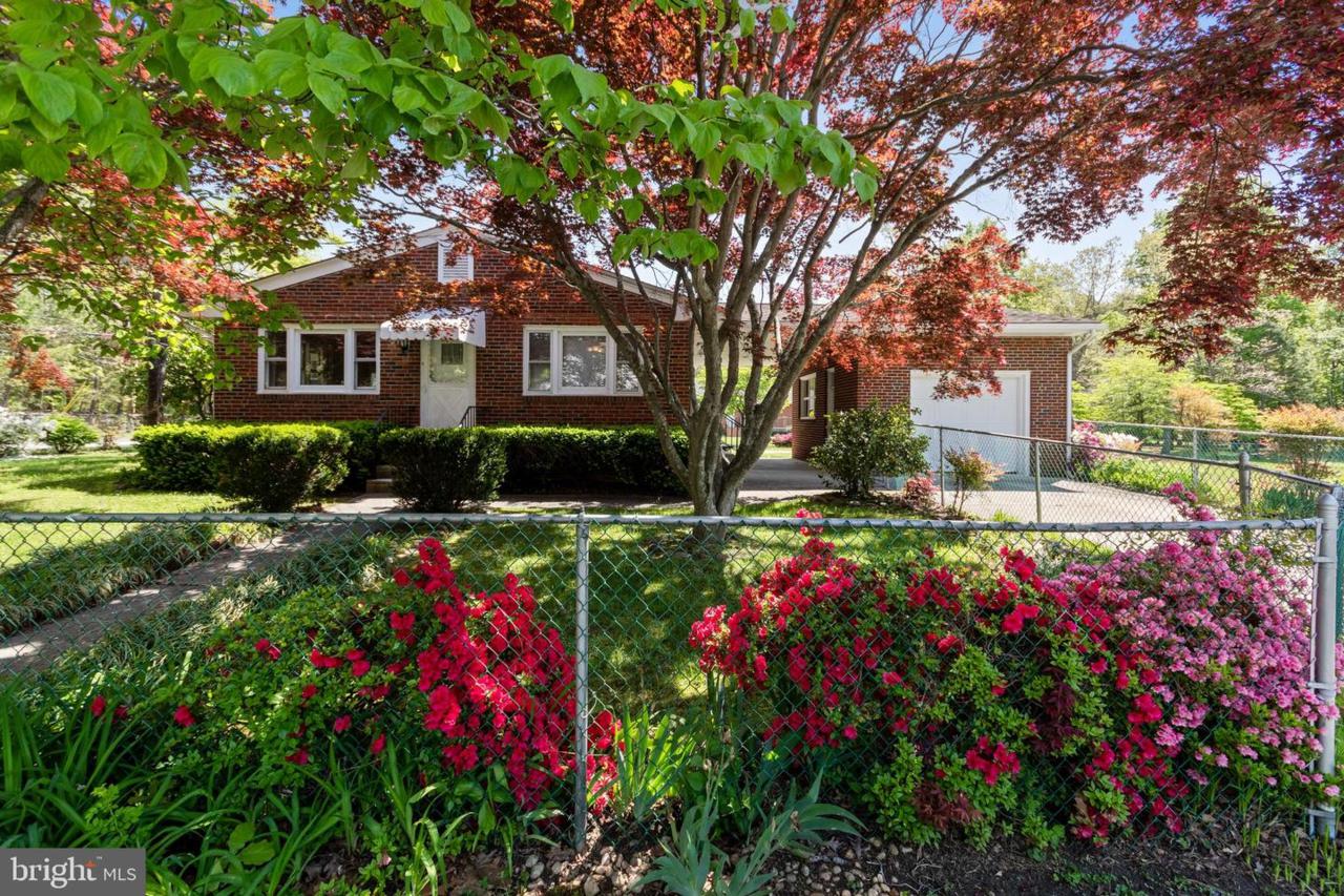 1106 Lily Avenue - Photo 1