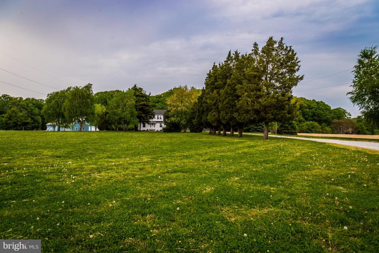 955 Vance Neck Road - Photo 1