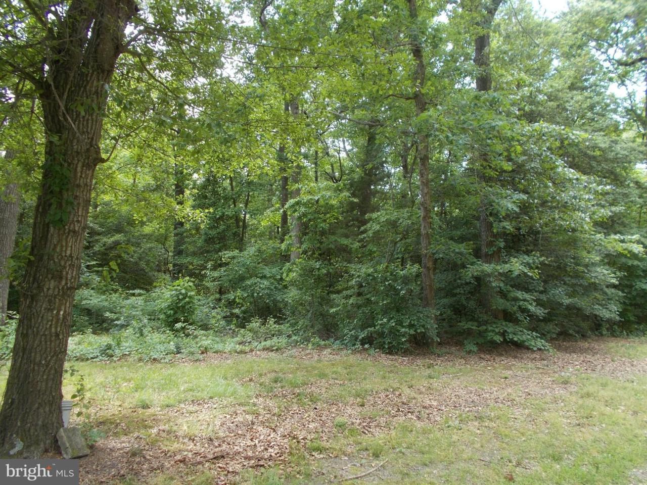 6812-1 Eldorado Road - Photo 1