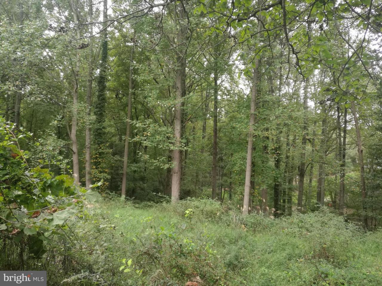 5810 Dimes Road - Photo 1