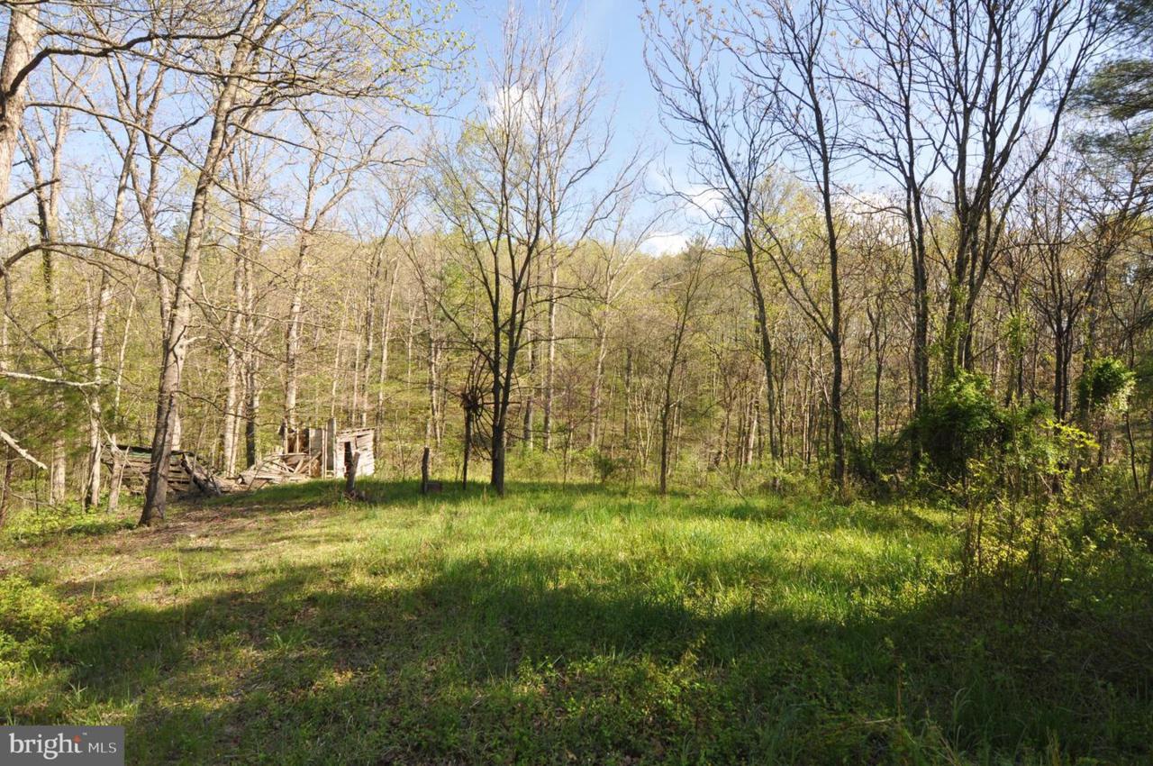 128 Brethern Lane - Photo 1