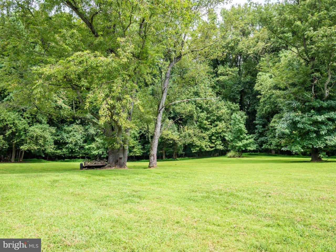 7206 Webster Lane - Photo 1