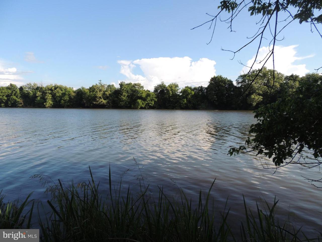 12134 Dissington - Photo 1