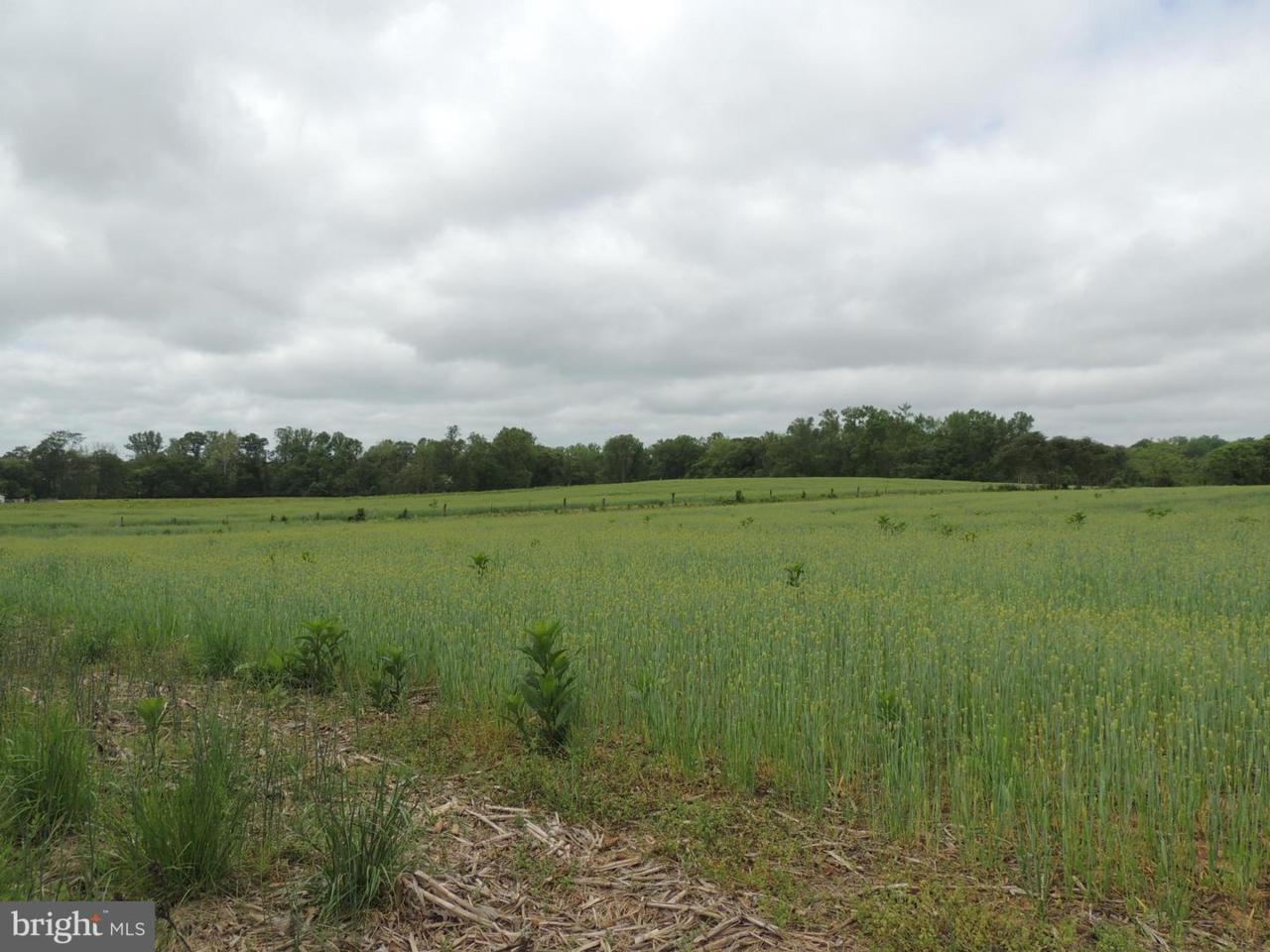 12134 Dissington - Photo 1