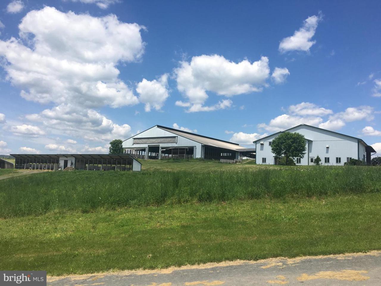 156 Kunkel Road - Photo 1