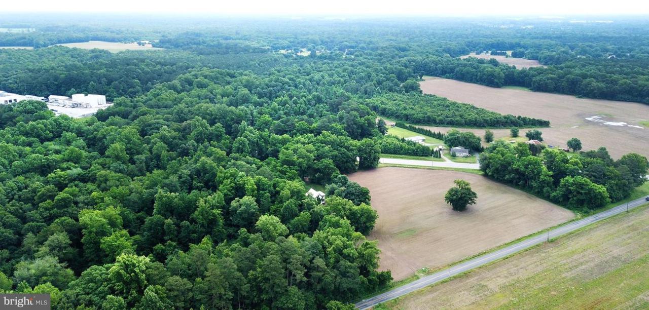 3800 Federalsburg Highway - Photo 1 3800 Federalsburg Highway - Photo 1