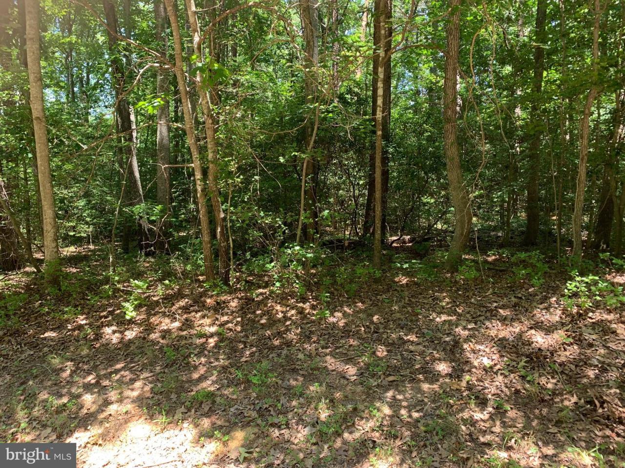 Lot 182 Windway - Photo 1 Lot 182 Windway - Photo 1