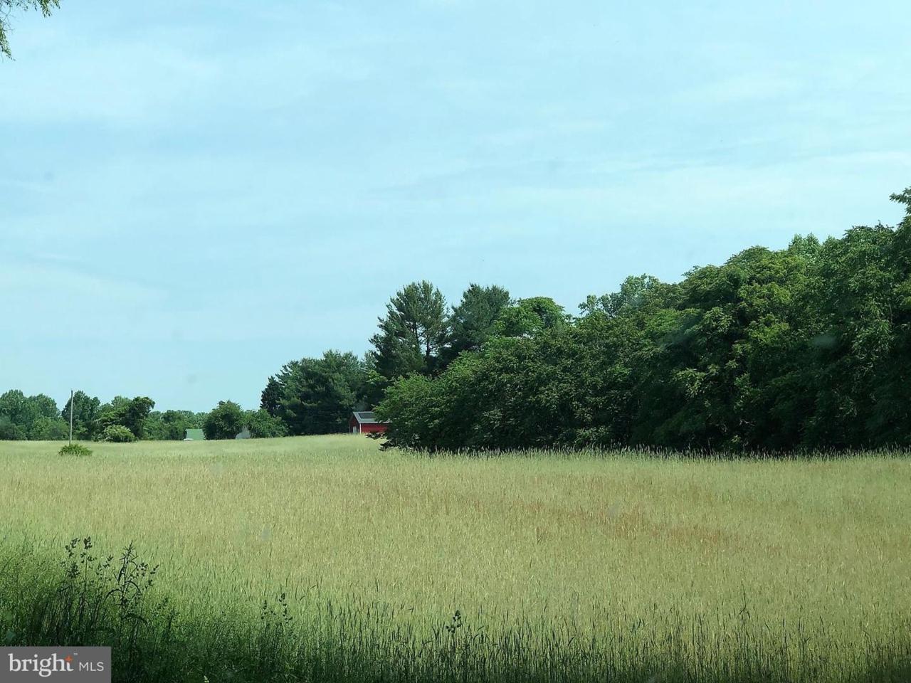 Ross Road - Photo 1