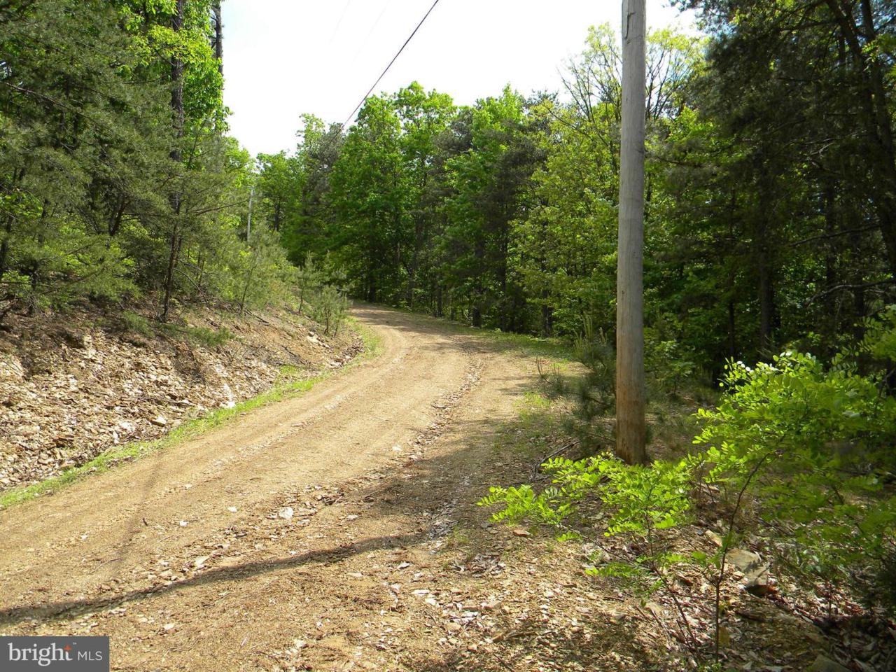Off 23/8 Blue Spruce Dr - Photo 1